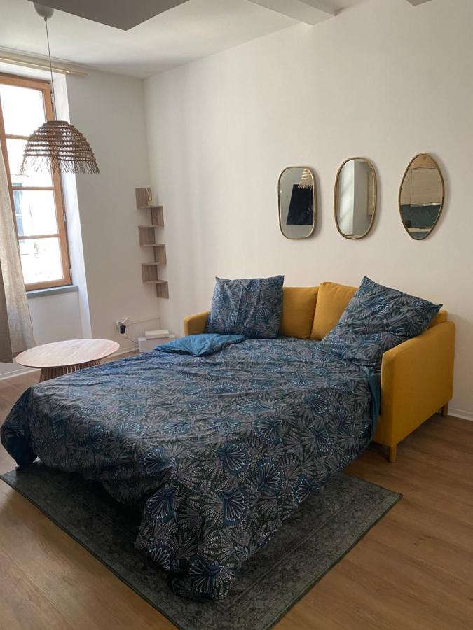 Le Bout Du Monde Appartement Hyper-Centre Καρκασόν Εξωτερικό φωτογραφία